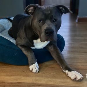 Meet your Posher, Darian